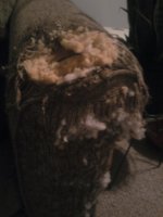 Couch.jpg