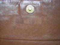 brown BV 008.JPG