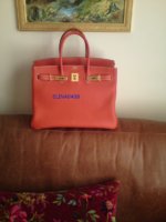 Birkin11 copy.jpg