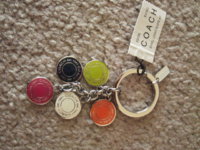 92036 Enamel logo snaphead keychain.jpg