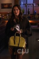diane-von-furstenbergabbe-sweater-jacket-and-gossip-girl-gallery.jpg