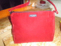 velvet kate spade.jpg