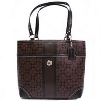 coach 15137 Brown.jpg