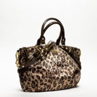leopard brown sophia 17764.jpg