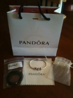 PandaHaul1.jpg
