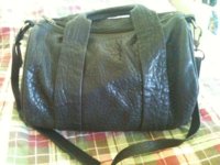 IMG_0239.jpeg