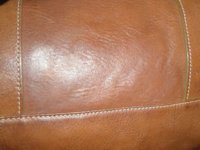 clean oak.JPG