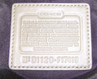 Picture 10.png