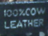 label back.jpeg