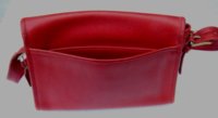 RedCoachA 030.JPG