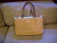 chelsea tote.jpg