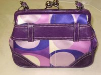 purses4 001.jpg