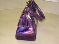 purses4 003.jpg