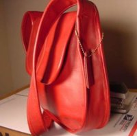 9951_Fake_P1L-ergo-flap-ripoff-c.jpg