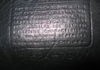 Picture 2.jpg