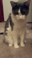 893775974_photobucket_49102_.jpg