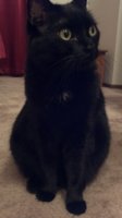 893775974_photobucket_49116_.jpg