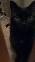 893775974_photobucket_49118_.jpg