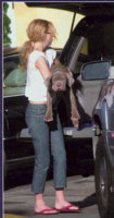 Kate Hudson with Neapolitan Mastiff 14gNEWFILE.jpg