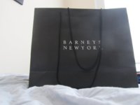 Barneys Bag small.jpg