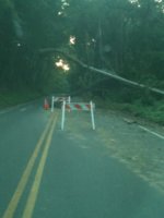 Oyster Bay Rd 2.JPG