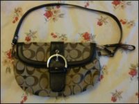 coachpurse1.jpeg