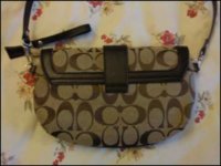 coachpurse2.jpeg