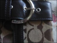 coachpurse3.jpeg