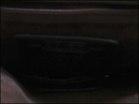 coachpurse5.jpeg