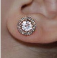 Studs cropped.jpg
