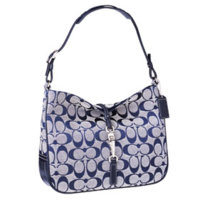 6091_SIG CLIP HOBO-d1.jpg