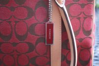 Coach Red 001.jpg