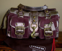 coach bag.jpg