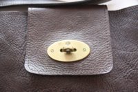 Mulberry1.jpg