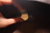 Mulberry3.jpg