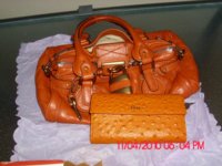 user215093_pic83687_1320068525[1].jpg