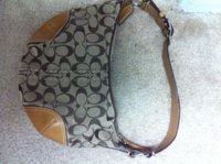 coach bag.jpg