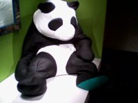 panda.JPG