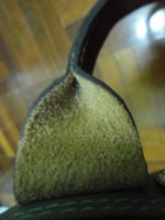 loden (9).JPG
