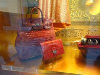DSC06770.jpg