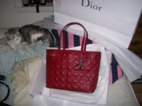 A Dior bag 002 (Small).jpg