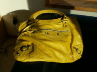 yellow in sun.jpg