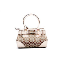 Purse38_Lg.jpg