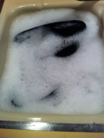 image-2701981742.png