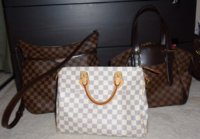Damier bags.jpg