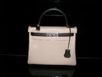 Kelly 28 Tourterelle Mysore 001 (400x300).jpg