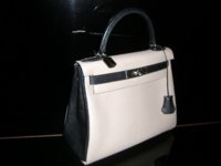 Kelly 28 Tourterelle Mysore 005 (400x300).jpg