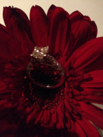 image-2987756388.png