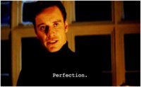 Perfection.JPG