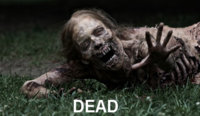 dead.jpg
